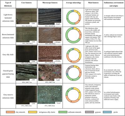 Origin of Dolomite in Lacustrine Organic-Rich Shale: A Case Study in the Shahejie Formation of the Dongying Sag, Bohai Bay Basin